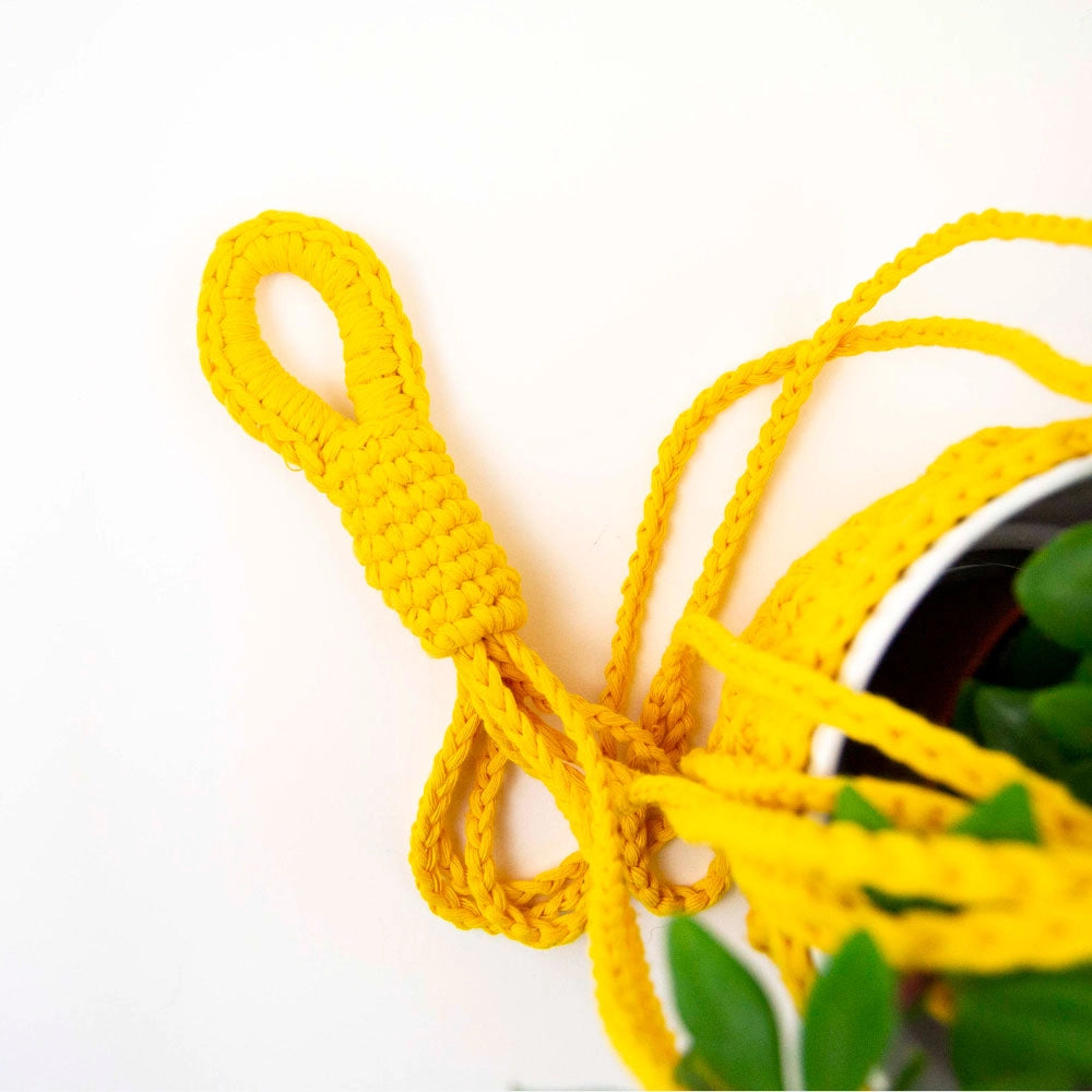 Frank & Fredrik plant hanger | crochet PDF pattern